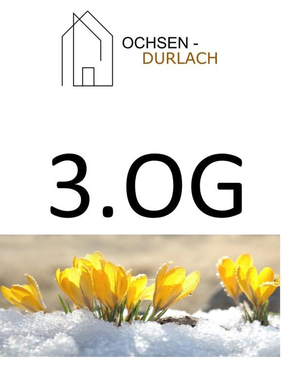 Ochsen-Durlach Karlsruhe Phòng bức ảnh